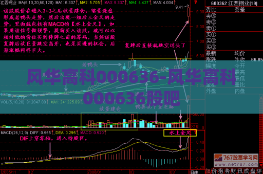 风华高科000636-风华高科000636股吧  第1张