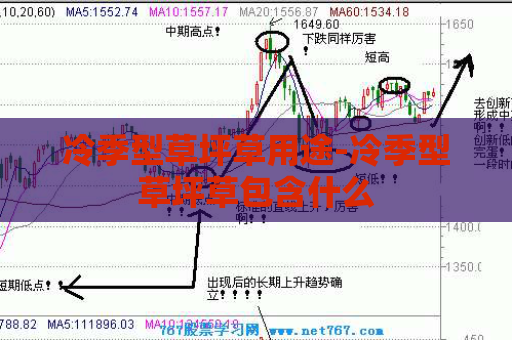 冷季型草坪草用途-冷季型草坪草包含什么  第1张