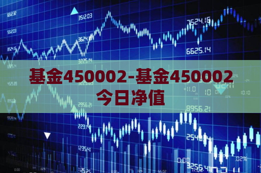 基金450002-基金450002今日净值  第1张