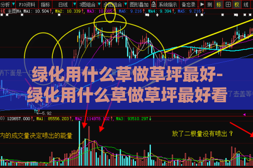 绿化用什么草做草坪最好-绿化用什么草做草坪最好看  第1张