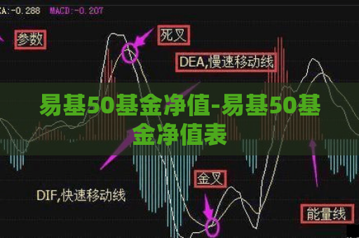 易基50基金净值-易基50基金净值表  第1张