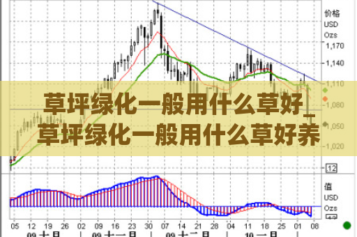 草坪绿化一般用什么草好_草坪绿化一般用什么草好养  第1张