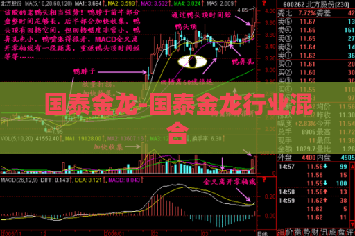 国泰金龙-国泰金龙行业混合  第1张