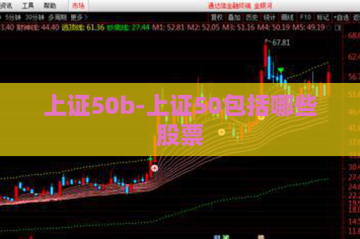 上证50b-上证50包括哪些股票  第1张