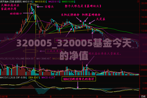 320005_320005基金今天的净值  第1张