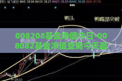 008208基金净值今日-008082基金净值查询今天最新净值  第1张