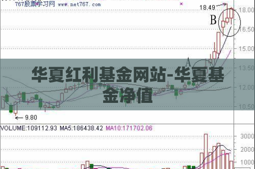 华夏红利基金网站-华夏基金净值  第1张