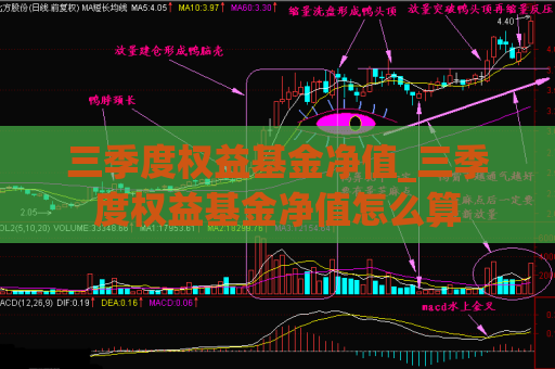 三季度权益基金净值_三季度权益基金净值怎么算  第1张