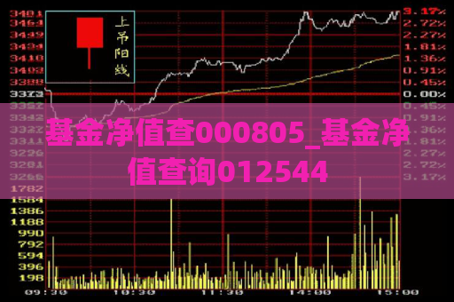 基金净值查000805_基金净值查询012544  第1张