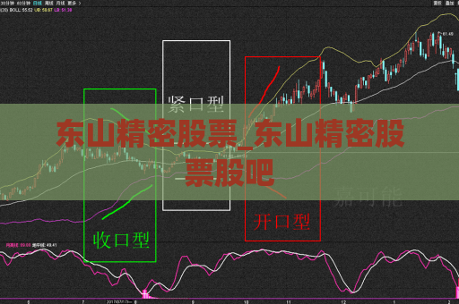 东山精密股票_东山精密股票股吧  第1张