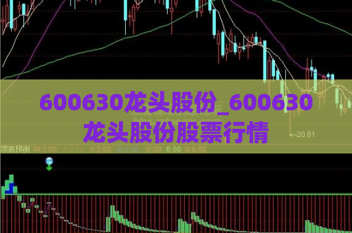 600630龙头股份_600630龙头股份股票行情  第1张