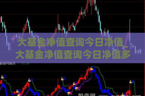 大基金净值查询今日净值_大基金净值查询今日净值多少  第1张