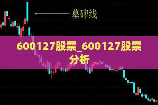 600127股票_600127股票分析  第1张