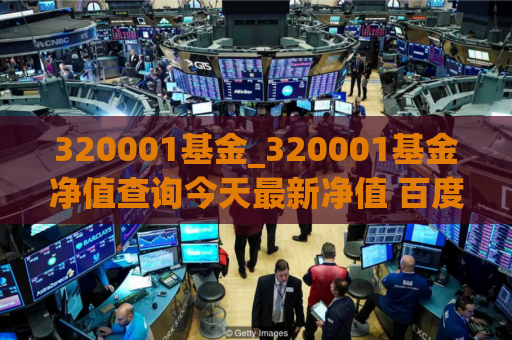 320001基金_320001基金净值查询今天最新净值 百度  第1张