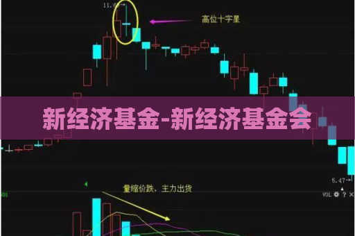 新经济基金-新经济基金会