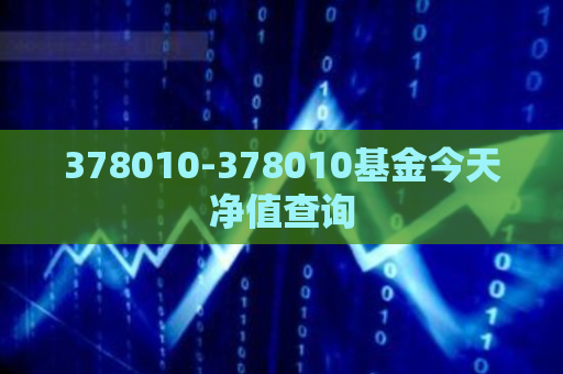 378010-378010基金今天净值查询  第1张