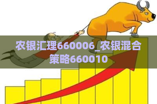 农银汇理660006_农银混合策略660010  第1张