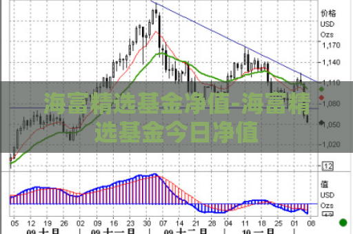 海富精选基金净值-海富精选基金今日净值  第1张