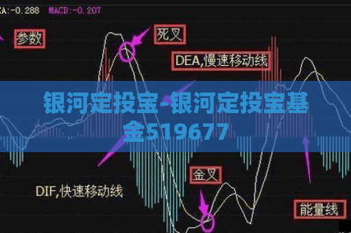 银河定投宝-银河定投宝基金519677  第1张