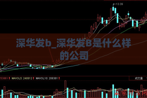 深华发b_深华发B是什么样的公司  第1张