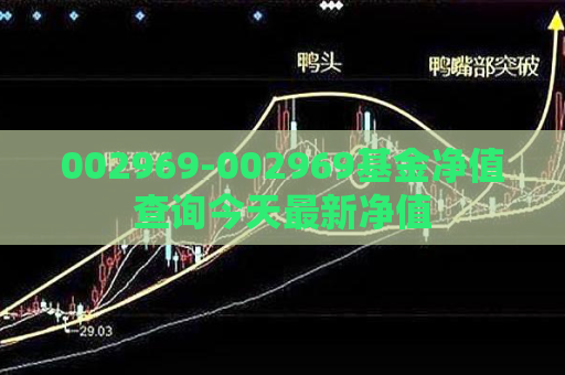 002969-002969基金净值查询今天最新净值  第1张