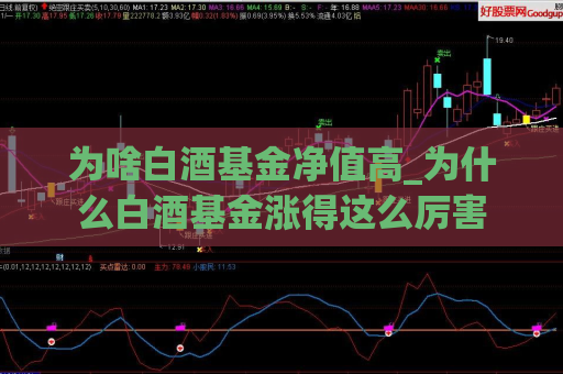 为啥白酒基金净值高_为什么白酒基金涨得这么厉害  第1张