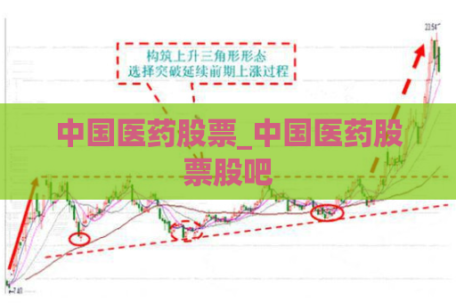 中国医药股票_中国医药股票股吧  第1张