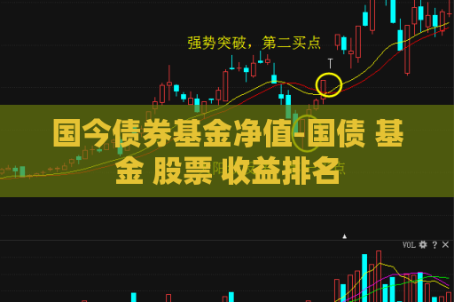 国今债券基金净值-国债 基金 股票 收益排名  第1张