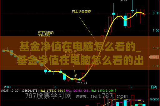 基金净值在电脑怎么看的_基金净值在电脑怎么看的出来  第1张