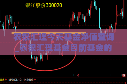 农银汇理今天基金净值查询_农银汇理基金目前基金的情况  第1张