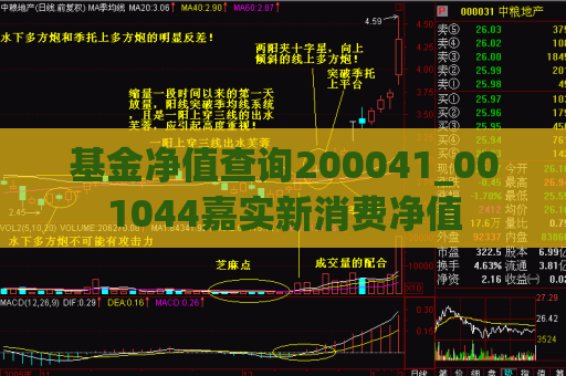 基金净值查询200041_001044嘉实新消费净值  第1张