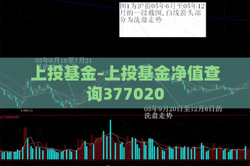 上投基金-上投基金净值查询377020  第1张