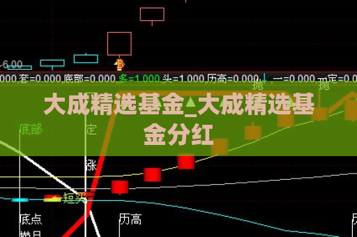 大成精选基金_大成精选基金分红  第1张