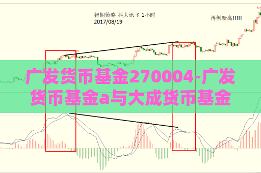 广发货币基金270004-广发货币基金a与大成货币基金a哪个收益高  第1张