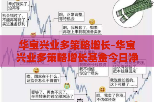 华宝兴业多策略增长-华宝兴业多策略增长基金今日净值查询