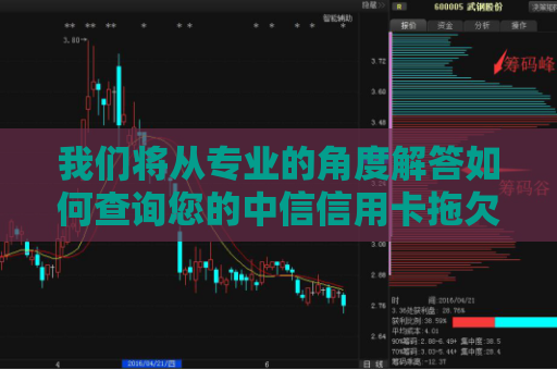 我们将从专业的角度解答如何查询您的中信信用卡拖欠详情！  第1张