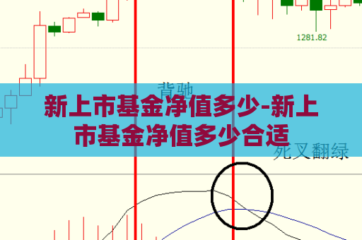 新上市基金净值多少-新上市基金净值多少合适  第1张