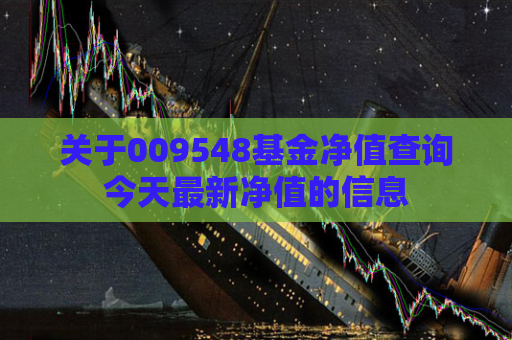 关于009548基金净值查询今天最新净值的信息  第1张