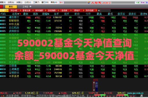 590002基金今天净值查询余额_590002基金今天净值查询余额160910  第1张