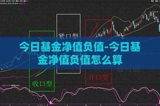 今日基金净值负值-今日基金净值负值怎么算  第1张