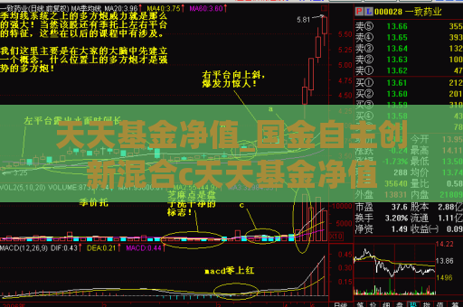 天天基金净值_国金自主创新混合c天天基金净值  第1张