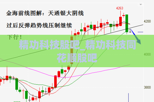 精功科技股吧_精功科技同花顺股吧  第1张