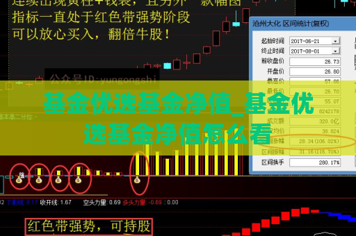 基金优选基金净值_基金优选基金净值怎么看  第1张