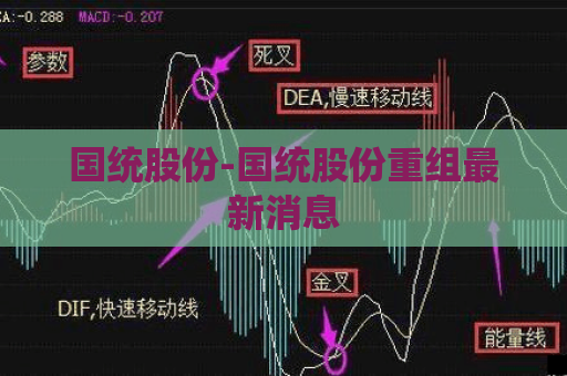 国统股份-国统股份重组最新消息  第1张