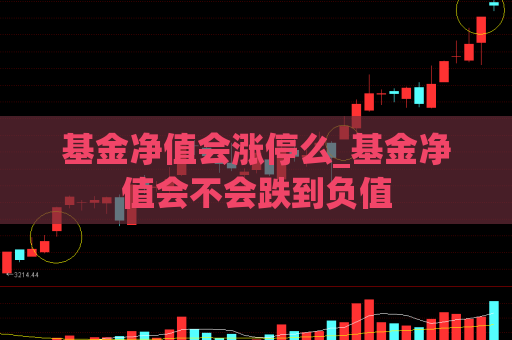 基金净值会涨停么_基金净值会不会跌到负值  第1张