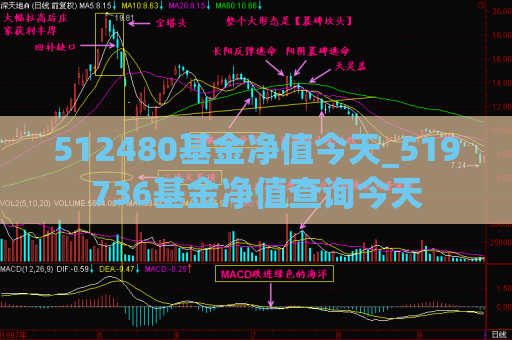 512480基金净值今天_519736基金净值查询今天  第1张