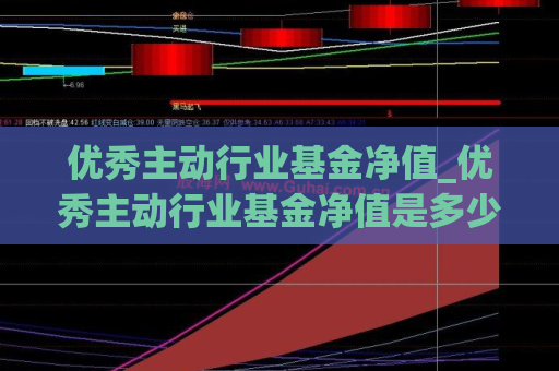 优秀主动行业基金净值_优秀主动行业基金净值是多少  第1张