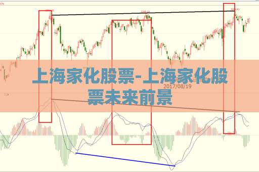 上海家化股票-上海家化股票未来前景  第1张