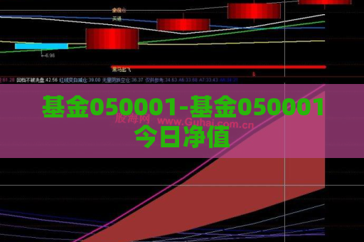 基金050001-基金050001今日净值  第1张