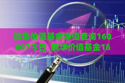 鹏华价值基金净值查询160607今日_鹏华价值基金160607今日净值查询20日  第1张